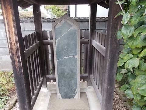 DSCN6537