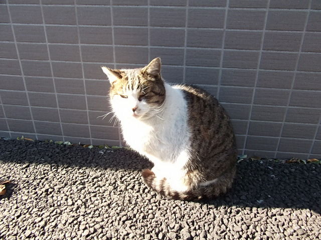 イメージ 3