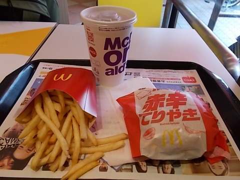 DSCN2740