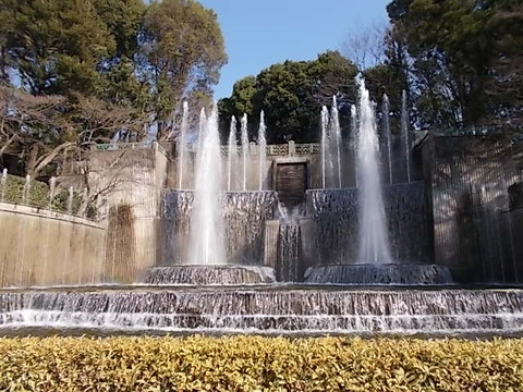 DSCN2126