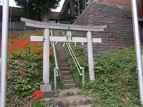 DSCN6621