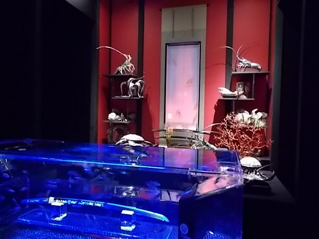 イメージ 14