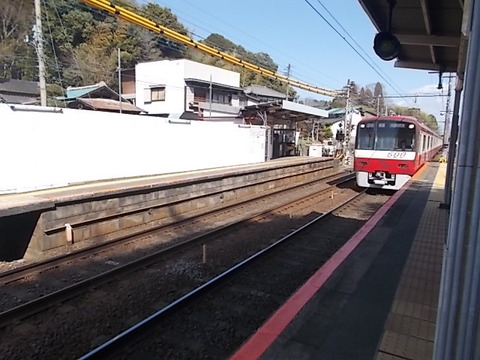 DSCN3129