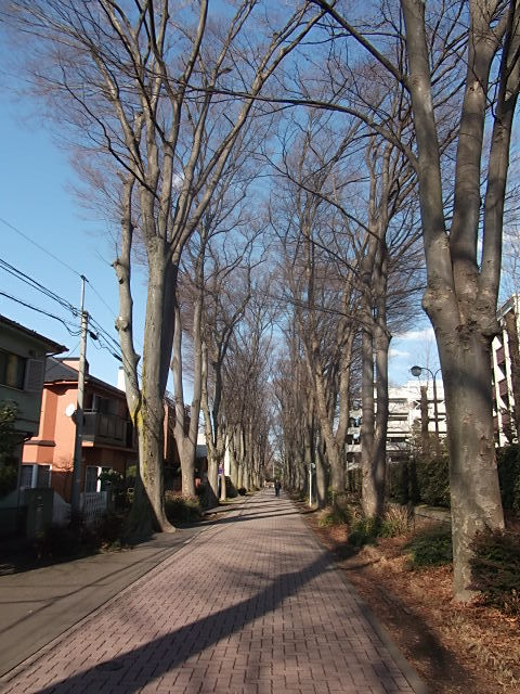 イメージ 2