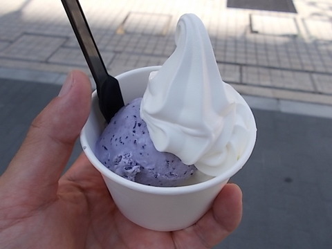 DSCN3061