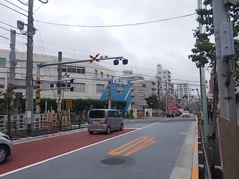 DSCN5528