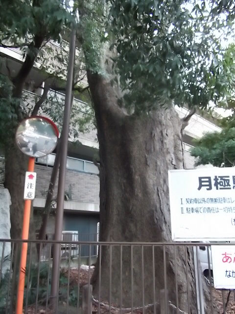 イメージ 6