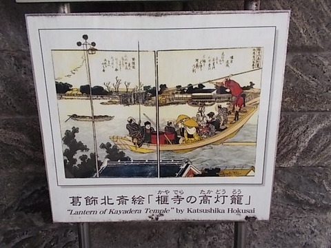 DSCN0317