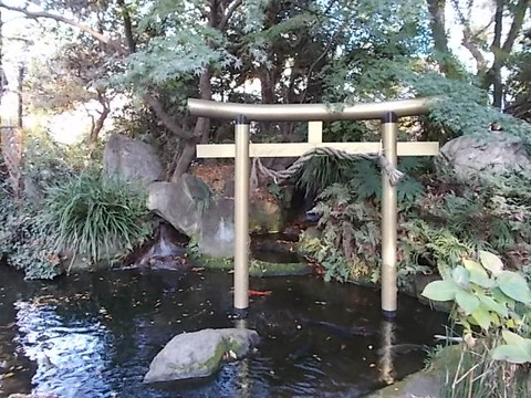 DSCN1528