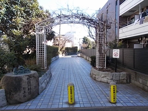 DSCN1947