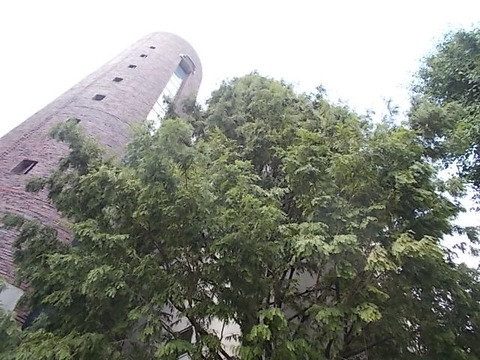 DSCN0293
