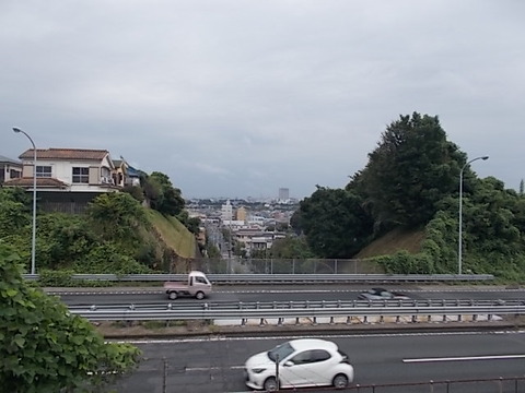 DSCN6501