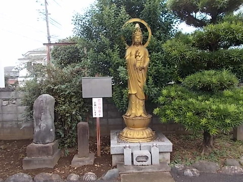DSCN6532