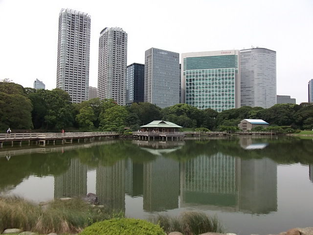 イメージ 8