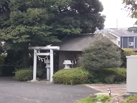 DSCN6627