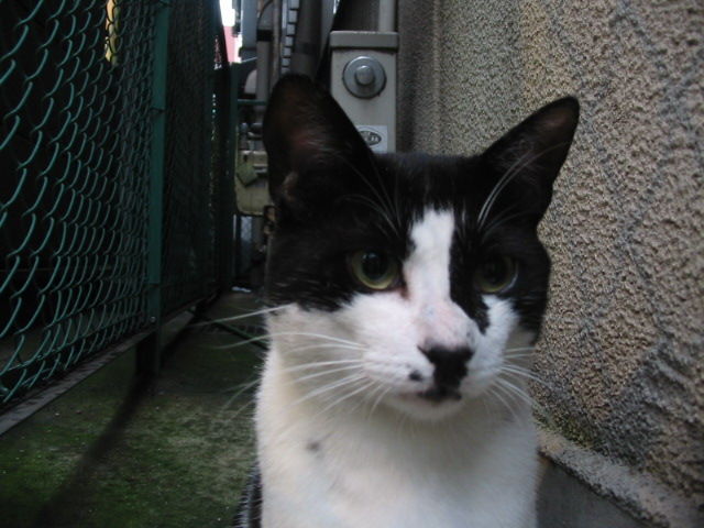 イメージ 6
