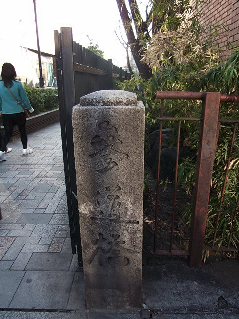 イメージ 8