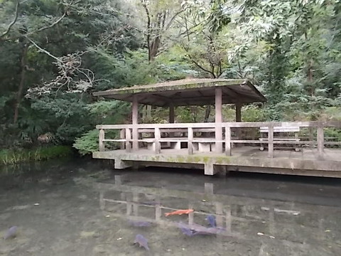 DSCN6661