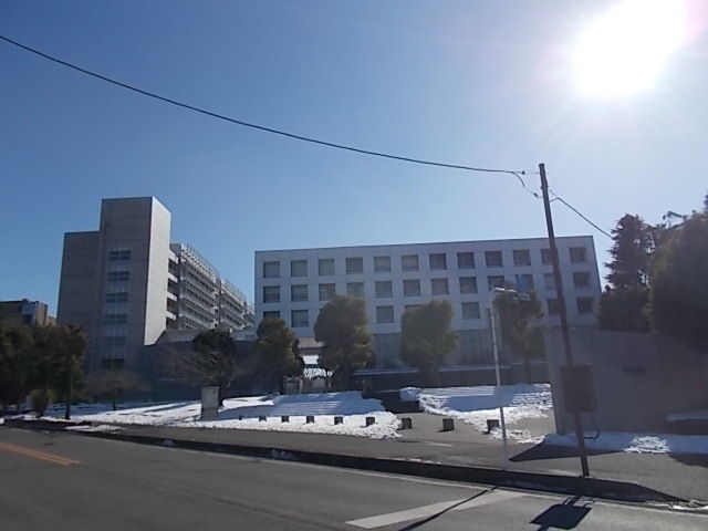 イメージ 7