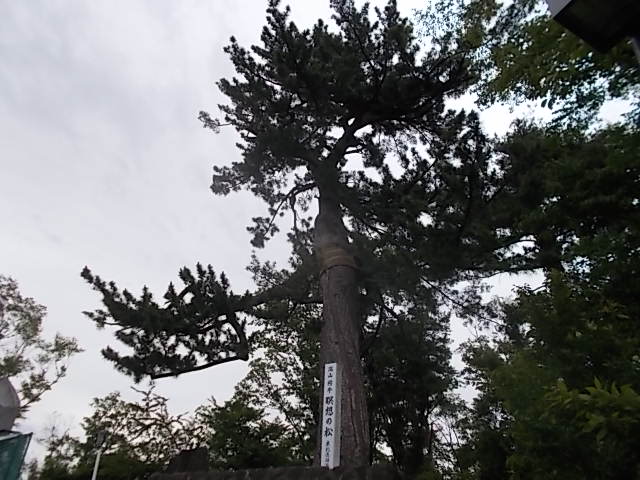 イメージ 6