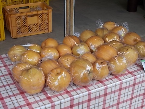 DSCN6609