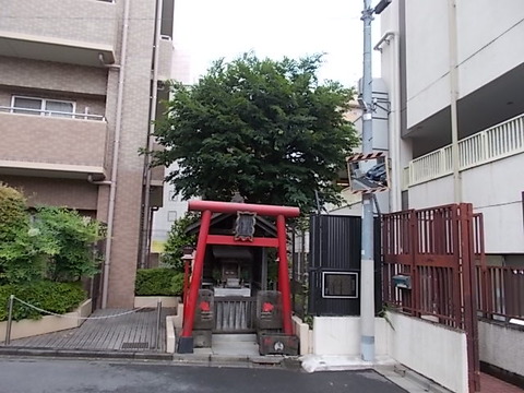 DSCN4182