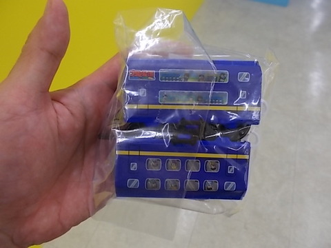 DSCN8604