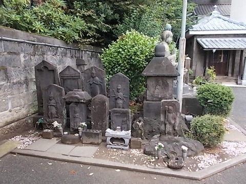 DSCN5522