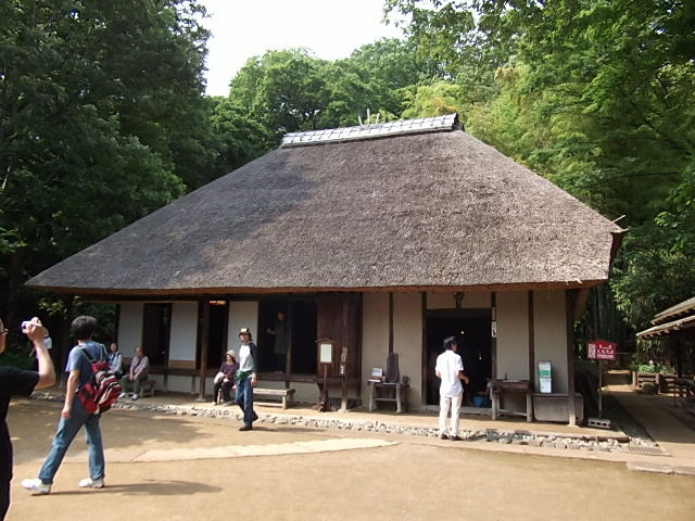 イメージ 5