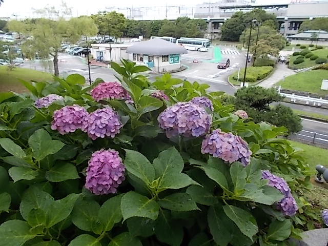 イメージ 8