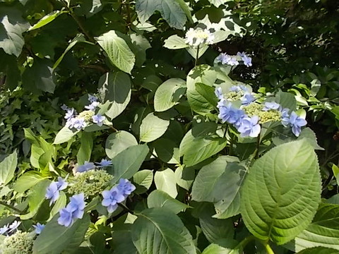 DSCN2744