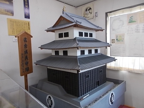 DSCN3206