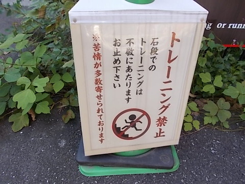 DSCN3076
