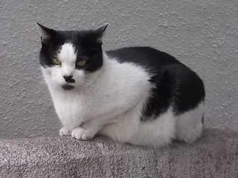 DSCN8416