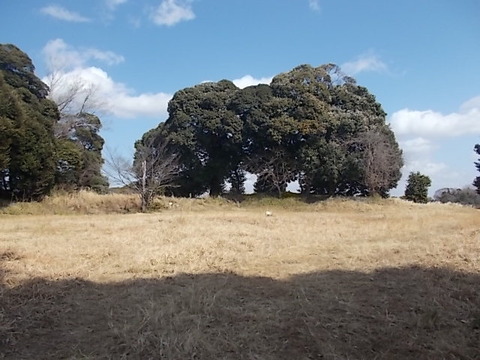 DSCN3084