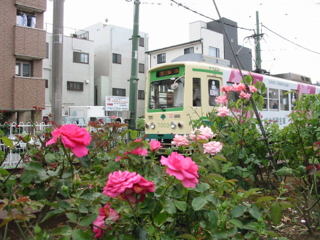 イメージ 6