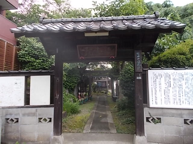 イメージ 11