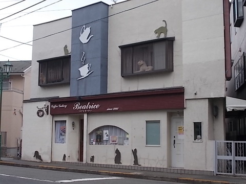 DSCN6648