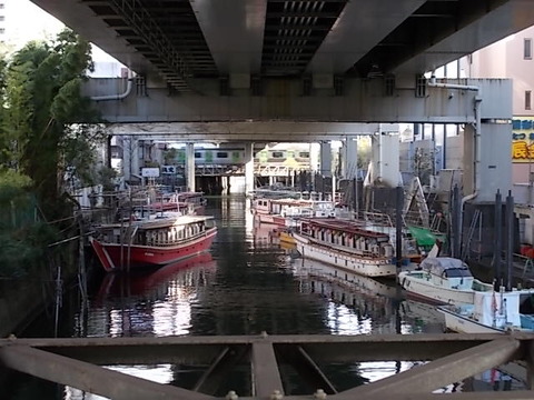 DSCN4700