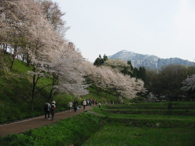 イメージ 6