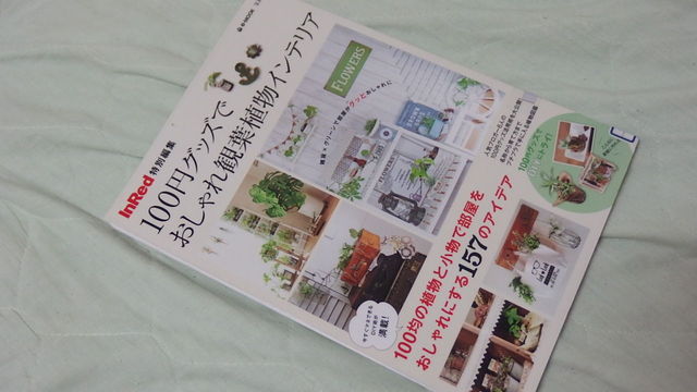774冊 100円グッズでおしゃれ観葉植物インテリア 花信風 季節からのたより