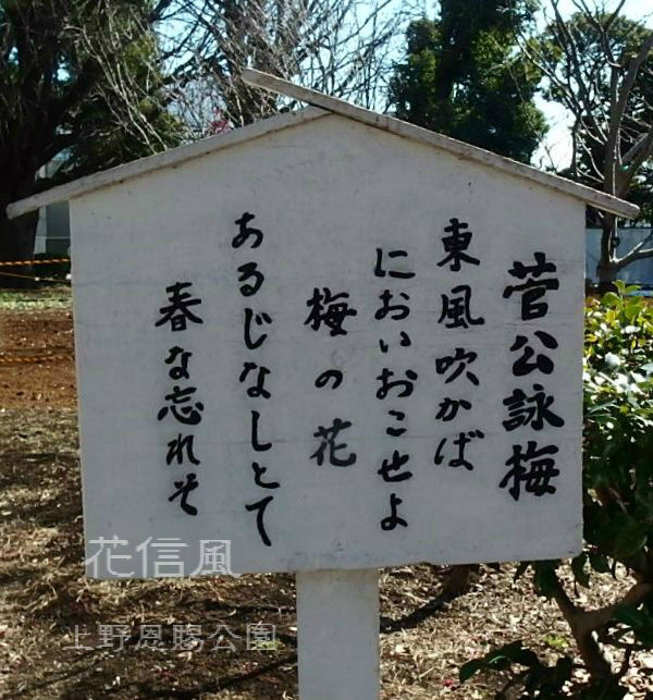菅公詠梅 飛梅伝説 花信風 季節からのたより 菅公詠梅 飛梅伝説 花信風 季節からのたより