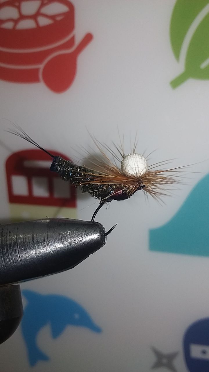 エリアトラウトのフライフィッシング18 その三十三 5月 ドライフライでレインボートラウトを釣るその十一 大型ドライフライ テレストリアルパターン にて なまずの飼育日記