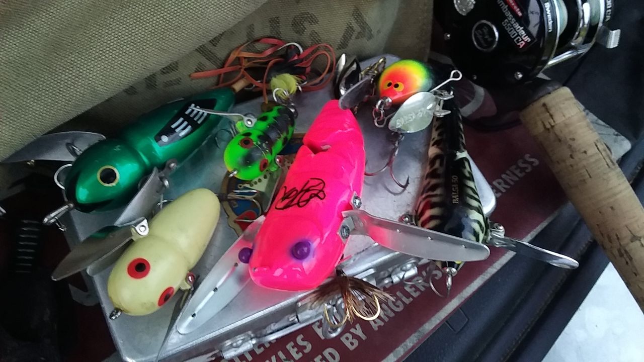 渓流シーズン終了も 羽根ものルアーはいい感じ なまずの飼育日記