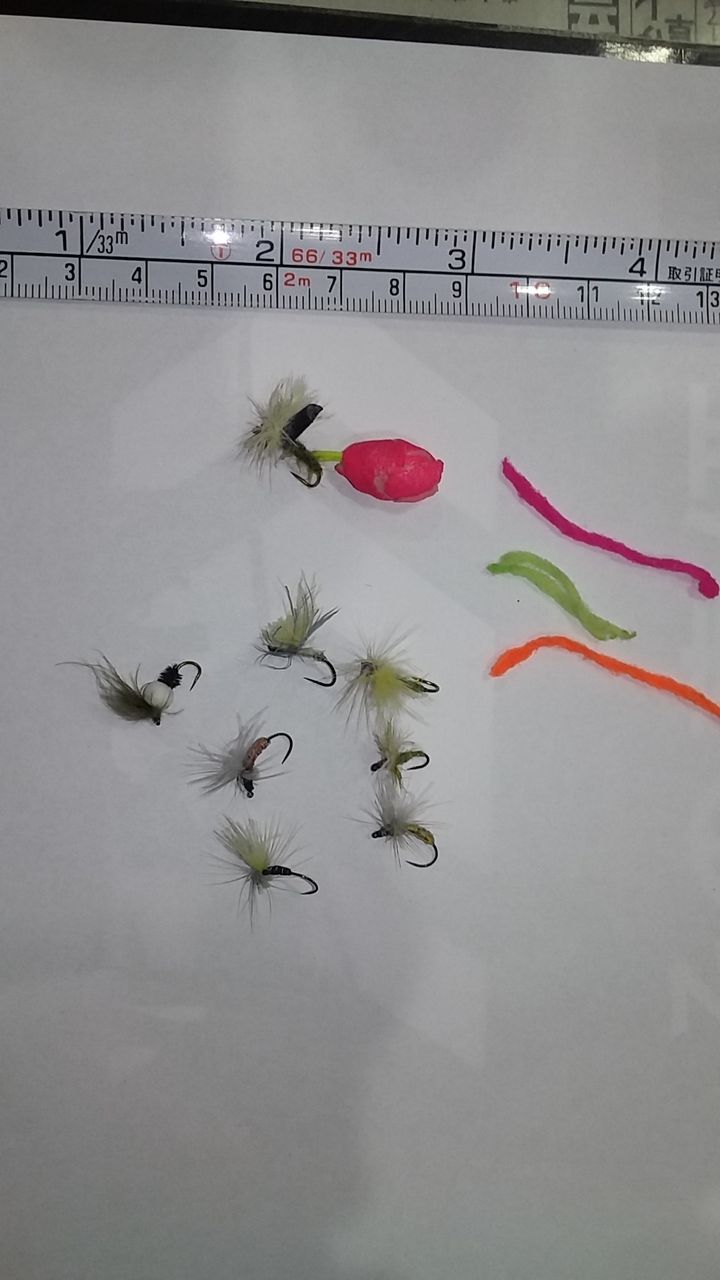 エリアトラウトのフライフィッシング17秋 冬 その六 気温急低下のエリアトラウトのフライフィッシング なまずの飼育日記