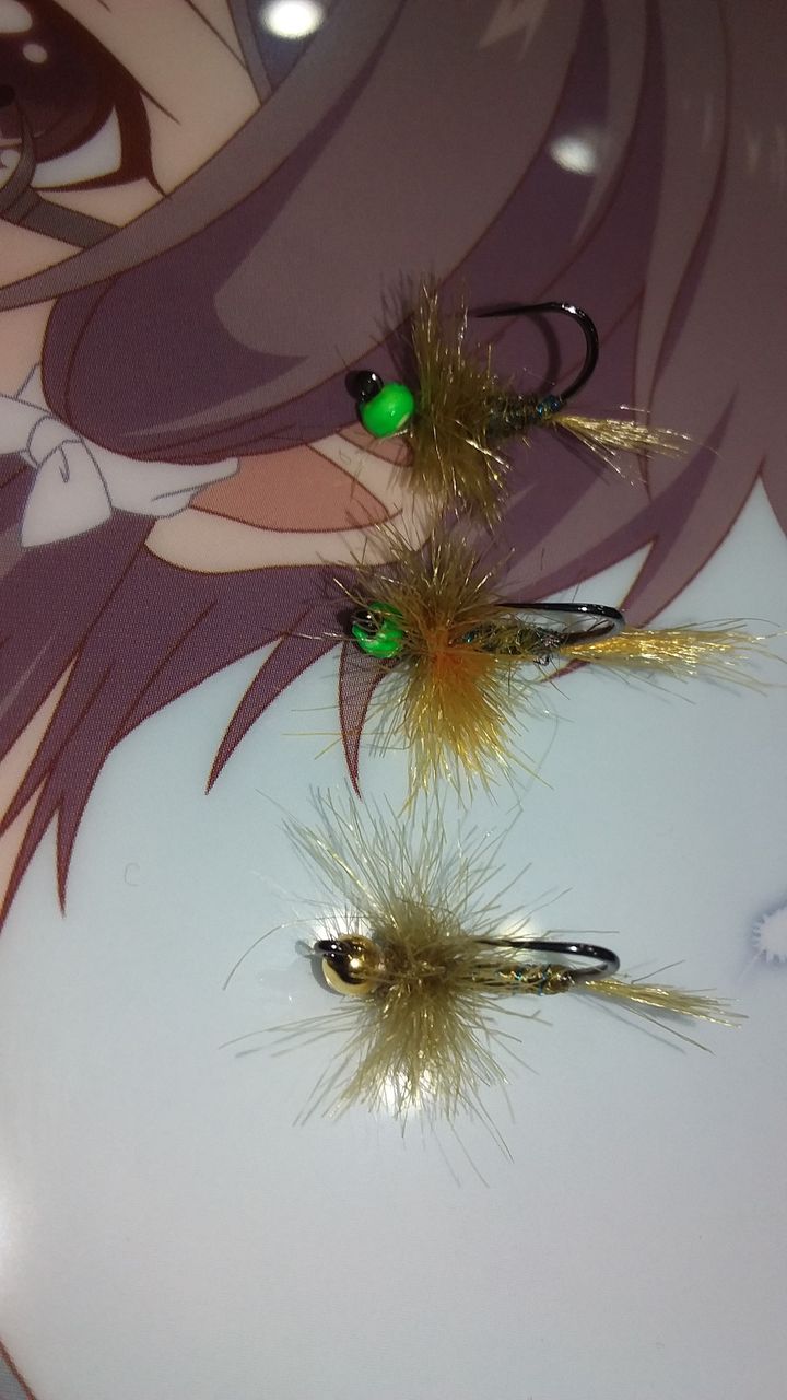 エリアトラウトのフライフィッシング19 その七 インジケーターを使用したニンフフィッシング その六 なまずの飼育日記