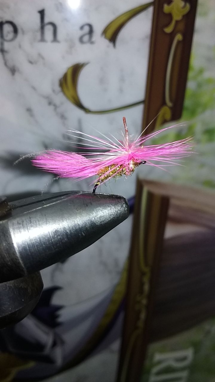 エリアトラウトのフライフィッシング18 その十八 3月 ドライフライでレインボートラウトを釣る その参 マドラーミノーのパターン なまずの飼育日記