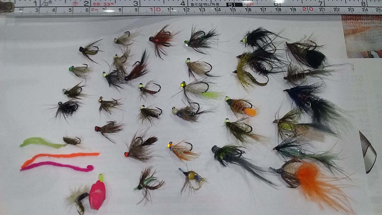 エリアトラウトのフライフィッシング17秋 冬 その六 気温急低下のエリアトラウトのフライフィッシング なまずの飼育日記