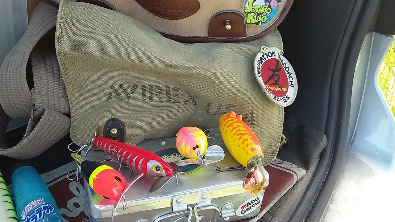 流水域のナマズをトップウォータープラッギングで釣る17 その八 ガービーバーニーの滝のぼり なまずの飼育日記