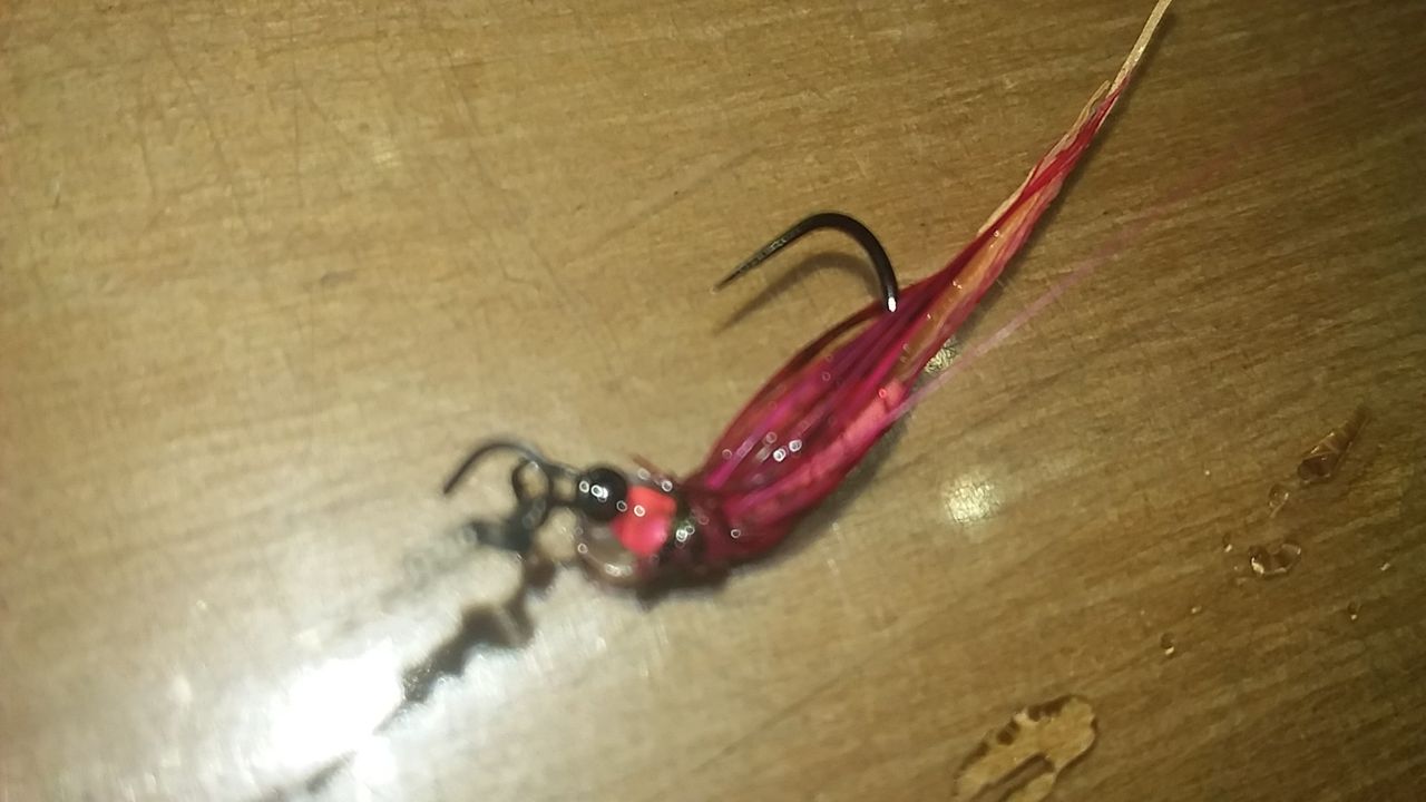 フライパターン考察17年12月 なまずの飼育日記 フライパターン考察17年12月 なまずの飼育日記